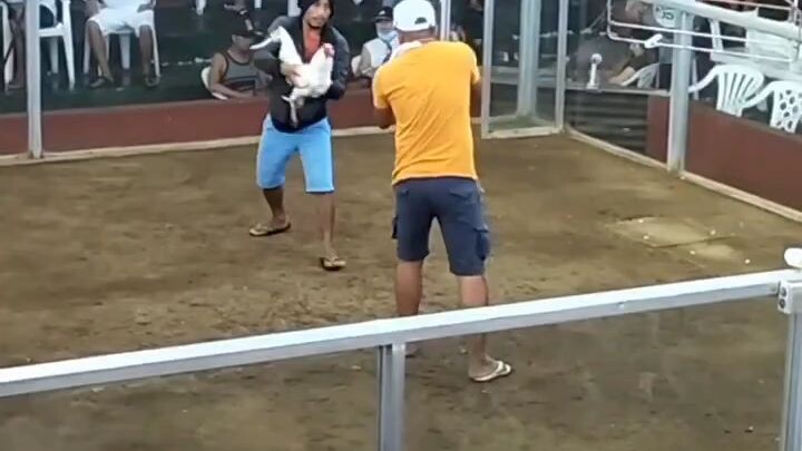 ratratan na. BMGF