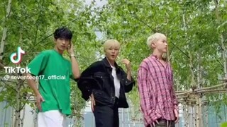 【SEVENTEEN】تشكيلة CHEERS على تيك توك