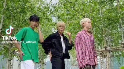 【SEVENTEEN】تشكيلة CHEERS على تيك توك