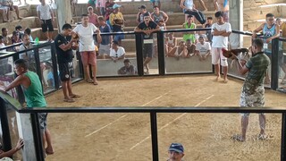 Loss po tau ,, gamay Cockpit, Samar