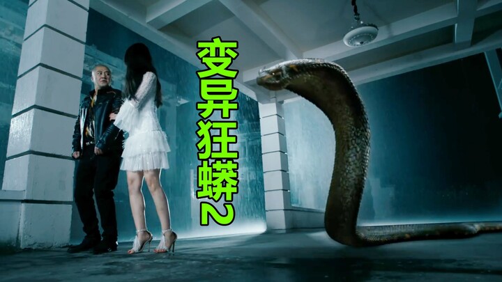 [Tang Tang] Hilarious commentary on the Chinese monster movie “Mutant Python 2” — everyone’s acting 