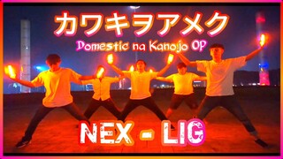 【ヲタ芸/Wotagei】"Domestic na Kanojo OP" カワキヲアメク/Kawaki wo Ameku - Minami【NEX - LIG】