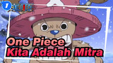[One Piece] Kita Adalah Mitra_1