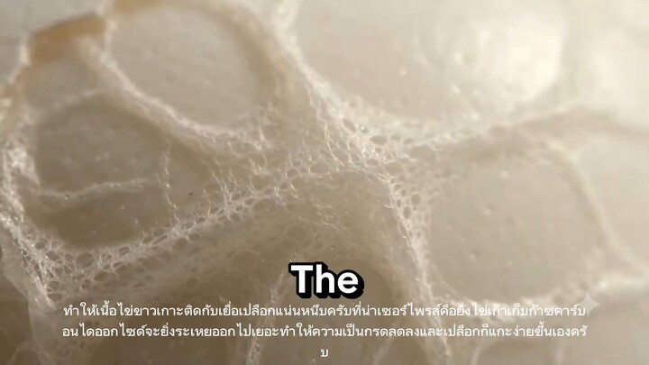 ทำไมไข่ต้มบางครั้งปอกยาก?
