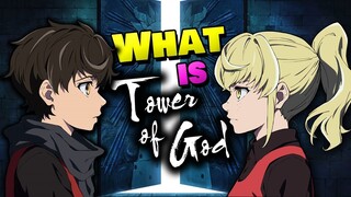 What Is TOWER OF GOD & Why Is It So Hype? Explaining Why It's Worth The Watch!