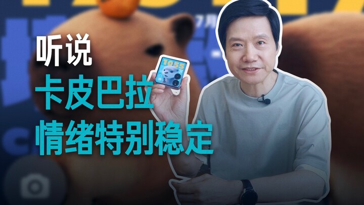 【雷军】卡皮巴拉情绪真的很稳定吗？