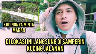 Bismillah Survei Rumah Kontrakan Untuk Bascamp Cats Lovers Tv Part 1