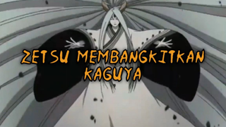 Mengejutkan! Momen Zetsu Membangkitkan Kaguya