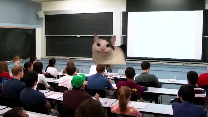 [Beluga和他的小伙伴]什么今天要汇报？