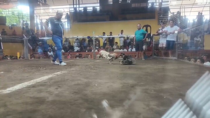 W 1fight  2hits ulutan May 30 2026