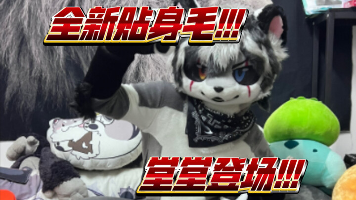 Brand-new close-fitting little pirate! Totally catified!!