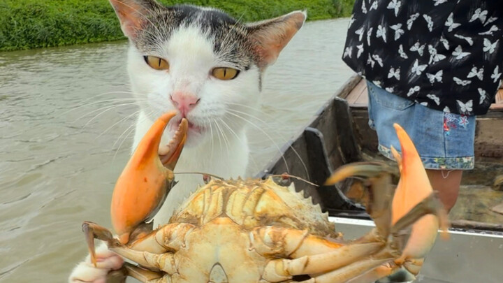 Coastal Indigenous Fisherman and Cat