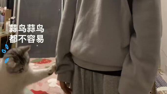 Aku sedang menari! Aku juga sedang menari, meow!