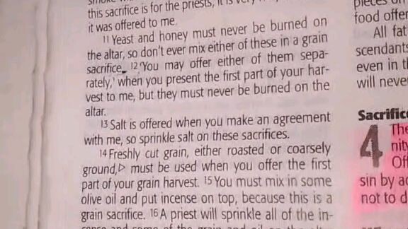 Daily Verse.        Leviticus 2 :11-16