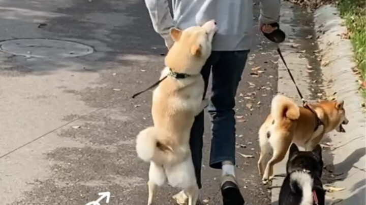 "Family Ties Turn Sour"