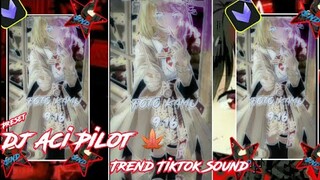 🔰Preset VivaCut🔰 || Dj Aci Pilot Sound Trend On Tiktok🎶 || Vtuber Foto💌
