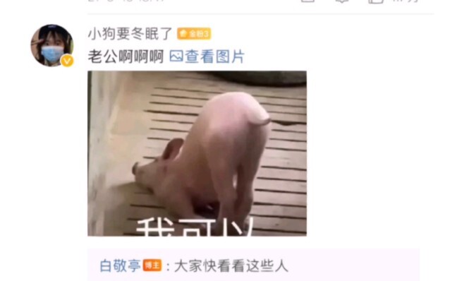 بعد ما شفت الـ“ممم”، جيت مباشرة أشوف ردّ باي جينغ تينغ على ويبو وضحكت في التو!