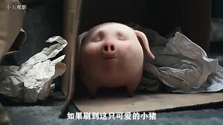 小猪存钱罐流浪街头，被好心人收留后又找回了原主人 #科幻 #脑洞 #神奇