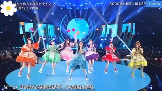 FRUITS ZIPPER WHAT YOU LIKE