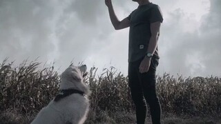 Don't _ mistake _my_weekness_for_kindness_🐺⚡...