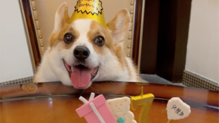 I'm seven years old today! Can you wish me a happy birthday?