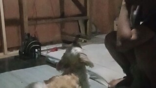 Upload Test.