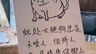 Big Yellow Dog: Friend, why aren’t you sleeping at this hour? Do you want to become as sleepy as a d
