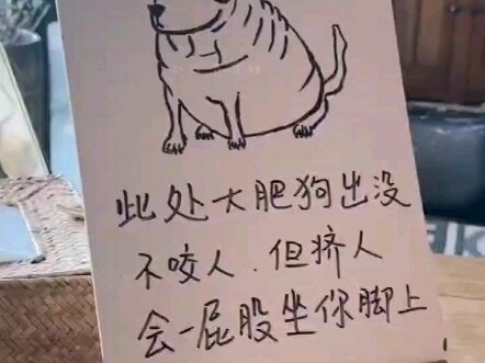Big Yellow Dog: Friend, why aren’t you sleeping at this hour? Do you want to become as sleepy as a d