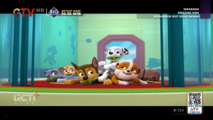 Paw Patrol GTV 14-02-2026