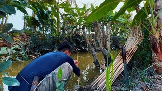 Vượt Hàng 100km Để Tìm Nơi Săn Cá Ban Đêm