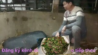 Món ăn đặc sản của điện Biên Tây Bắc