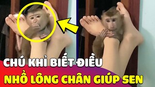 Cảm động chú Khỉ SƯỞI ẤM CHÂN giúp Sen, tiện tay bứt luôn cả LÔNG CHÂN làm ai cũng ghen tị 🥰 Gâu Đần