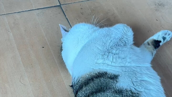 They're trying to harm me