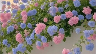 S001