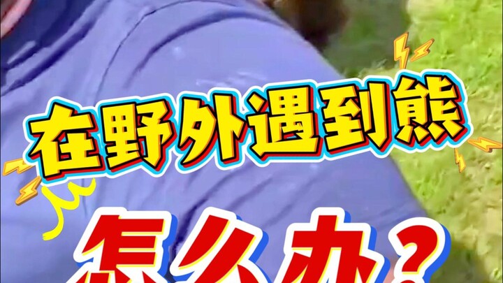 หมี: คืนกะทะเหล็กของฉันมา!