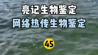 【Liangji Bioassay】Internet Hot Biological Assay 45