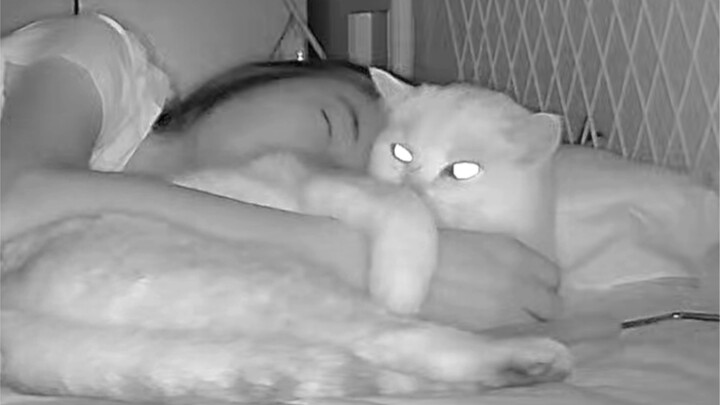 Tidak ada yang lebih baik daripada cinta pada kucing kecil yang terbalas.