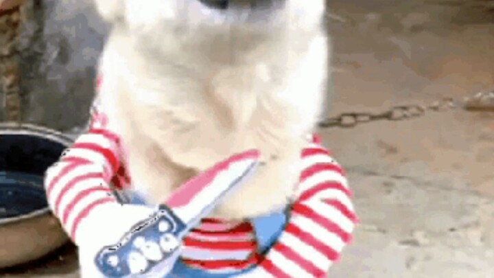 Tôi nói cư dân mạng thế hệ các bạn đừng có quá thiếu đạo đức.