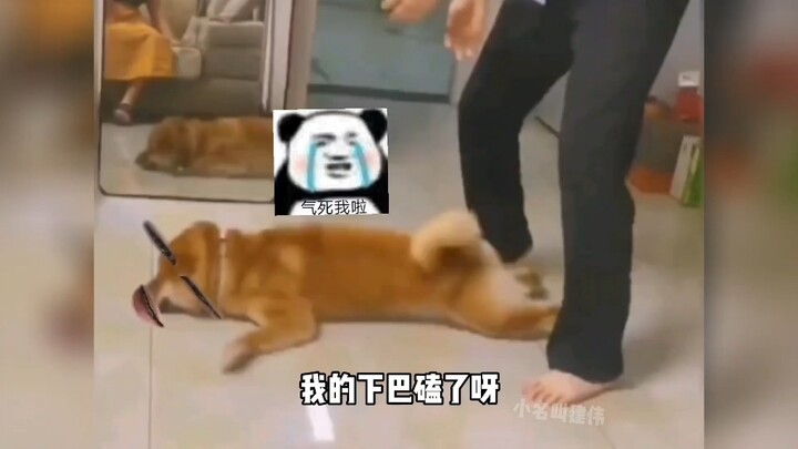 Gak main lagi, sakit banget pas jatuh!