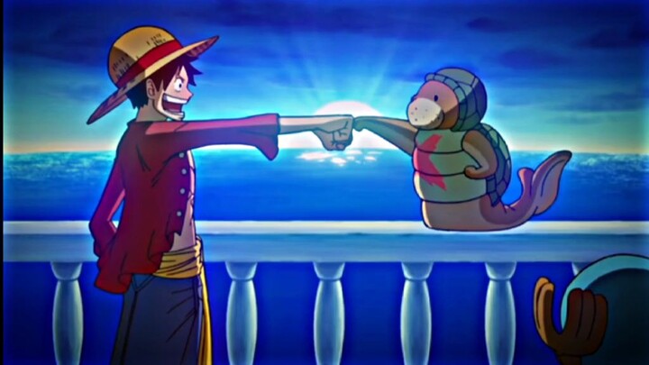 Murid pertama luffy