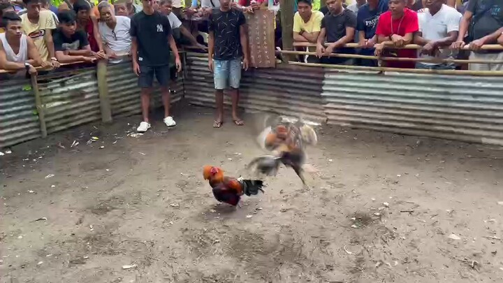 update ng buyer natin  (win)