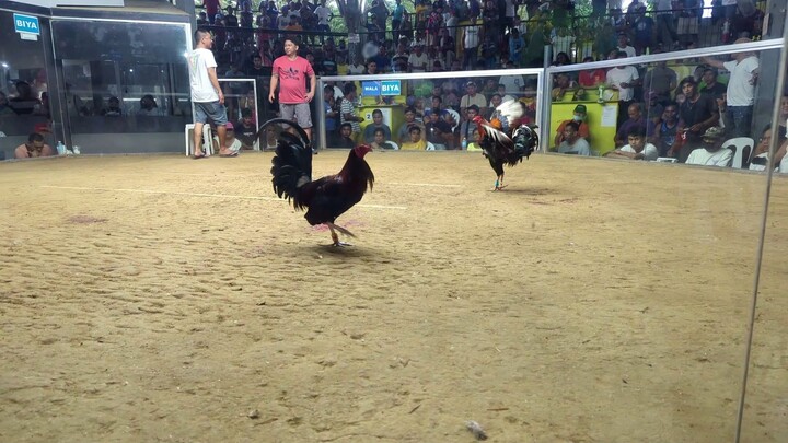 2024 December Fights WDLL