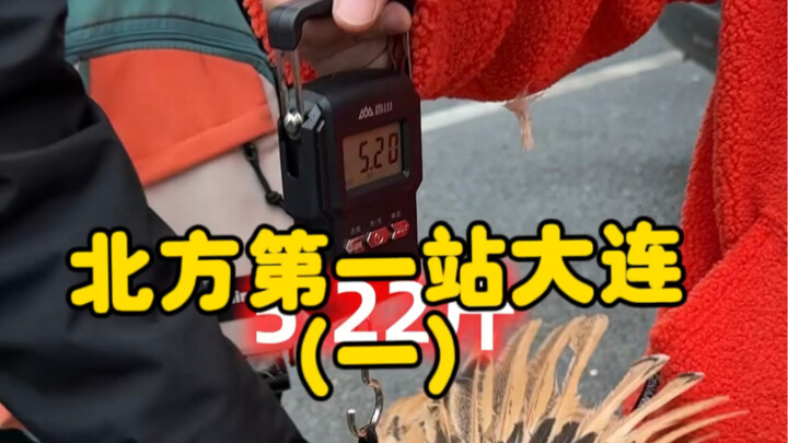 来北方第一站大连站，来体验大连海鲜美食同时，看看这边的海鲜市场怎么样？