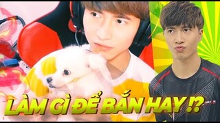 | DAILY STREAM | CHƠI GÌ ĐỂ BẮN HAY NHƯ MÈOÚ ?