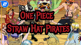 [One Piece AMV] Straw Hat Pirates's Lives on the Sea! (part 6-10)_2