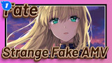 Trận Chiến Lấy Lại Tương Lai | Zero / Stay Night / Grand Order | Fate / AMV Strange Fake_1