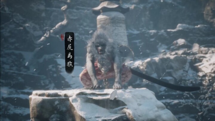 What a sly little monkey!