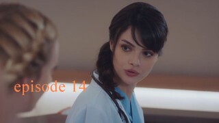 A Miracle season 01 episode 14 hindi dubbed 720p