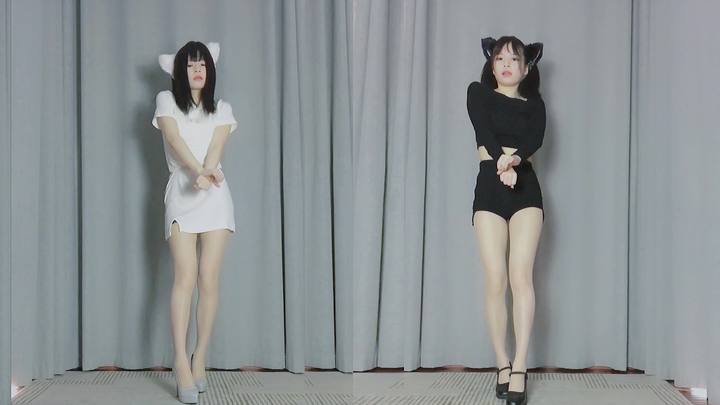 Do you like cats?