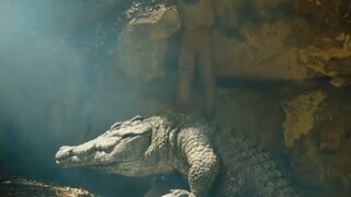 别想那么简单，就是那么简单。